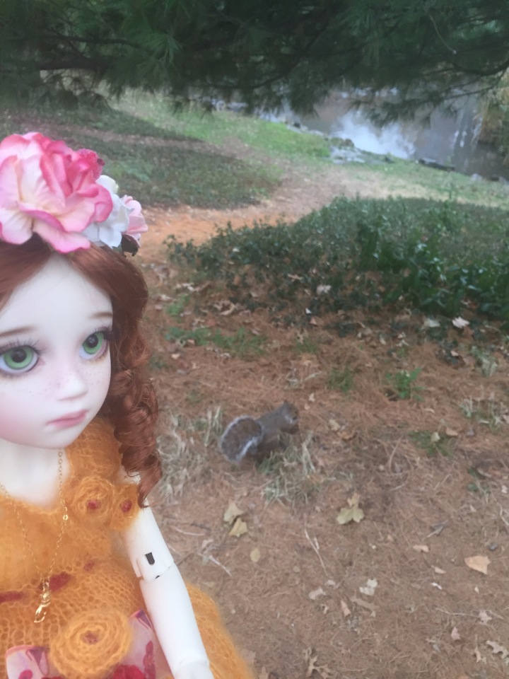 Луна гуляет в Центральном Парке в Манхаттане