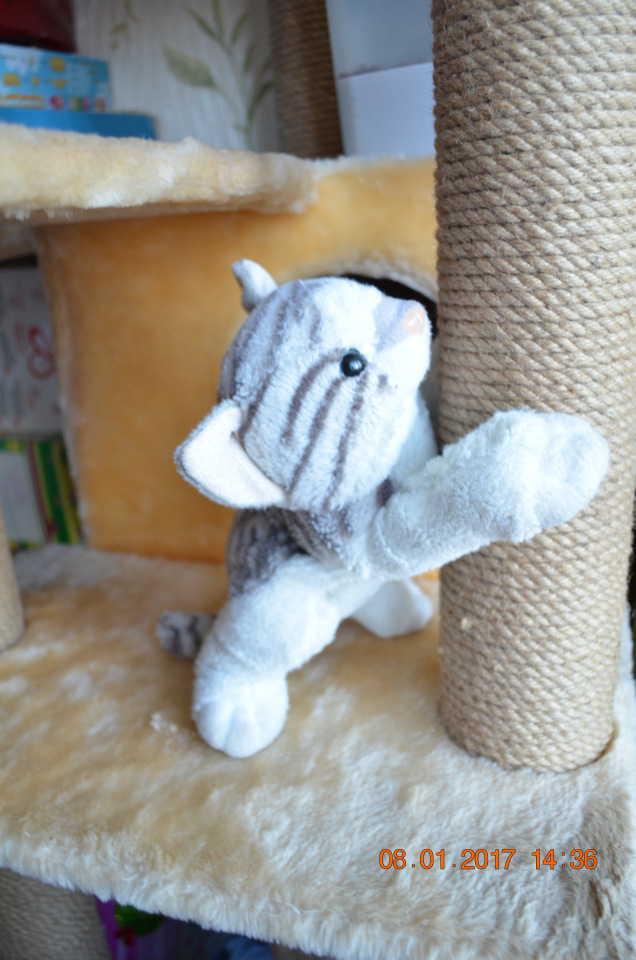 Коллекция моего сына. Не куклы - кошки. Продолжение (фото 6)