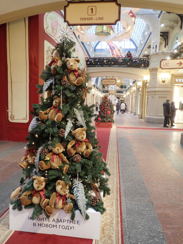 Путешествие за Новогодними впечатлениями в Москву. Часть 1
