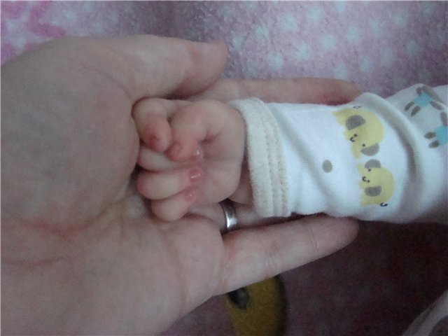 Саванна от Ли Миддлетон. Моя переделочка (фото 8)