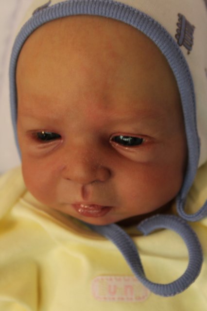 Московская международная выставка-ярмарка кукол и медведей Teddy «Moscow Fair 2013»: Наши Мастера часть 2 | Бэйбики Московская международная выставка-ярмарка кукол и медведей Teddy «Moscow Fair 2013»: Наши Мастера часть 2