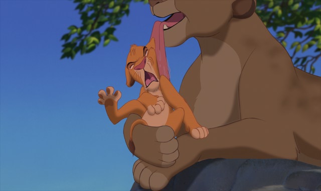 Пустышка для Арсюши (Summer dream Lee Middleton) - King Lion Simba