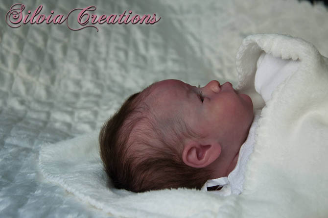 Новый молд Will от Натали Шолль