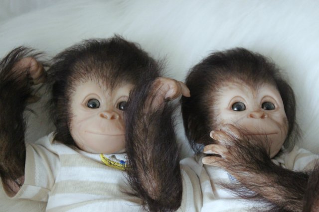 Развеселая компания (или мини-зоопарк)! Куклы реборн Вишни Виктории