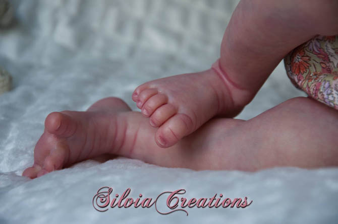 Новый молд Will от Натали Шолль