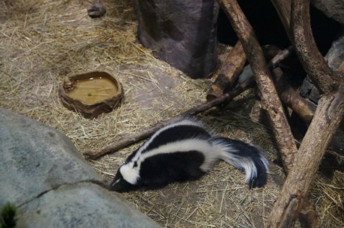 Воронежский океанариум — Туризм и путешествия: фотоотчеты из поездок (фото 8)