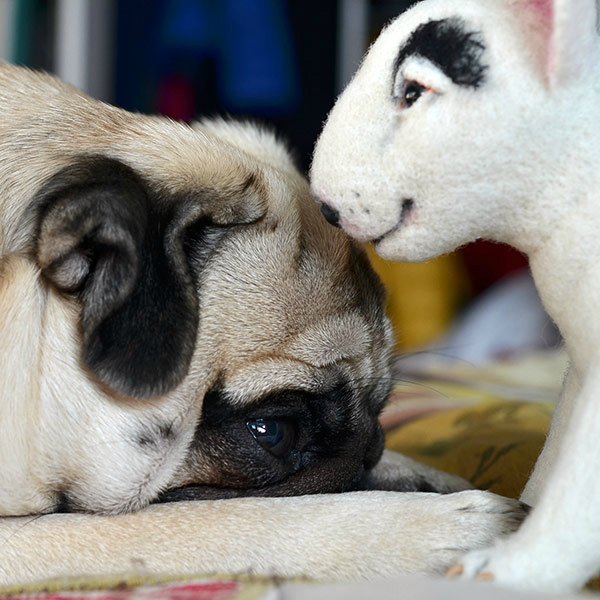 Булька ищет друзей. Игрушки валянием своими руками (фото 9)