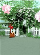 Закрыто. Совместная закупка фонов для фотографирования кукол