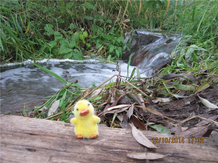 Дружок — Интересные игрушки и фигурки (разное): редкие