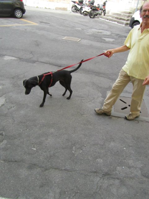 "Моя Италия". Часть 3 - Виареджо, Лукка, Пиза