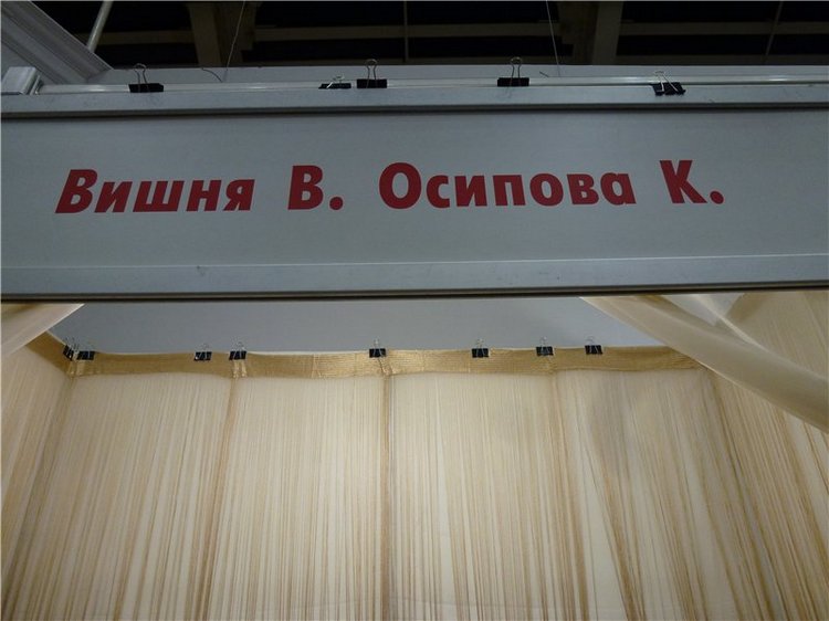 Куклы и мишки Тедди - MoscowFair 2015 | Бэйбики Куклы и мишки Тедди - MoscowFair 2015