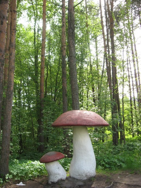 Назад в прошлое | Бэйбики Назад в прошлое — Болталка и разговоры обо всем: жизнь (фото 8)