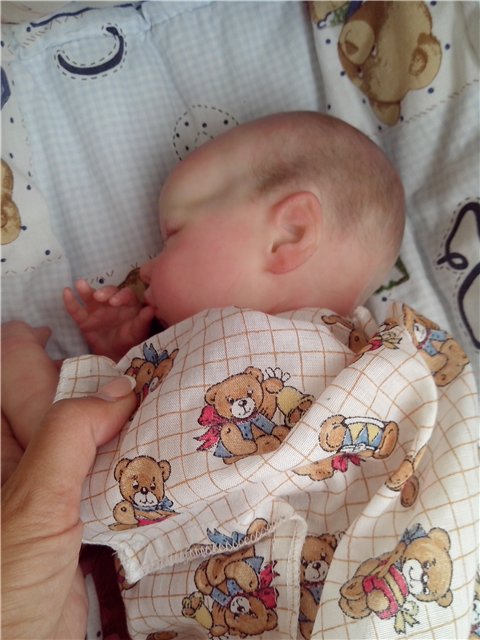 Куклы реборн Твин В и Жулиус (Твикс), дополнение (фото 6)