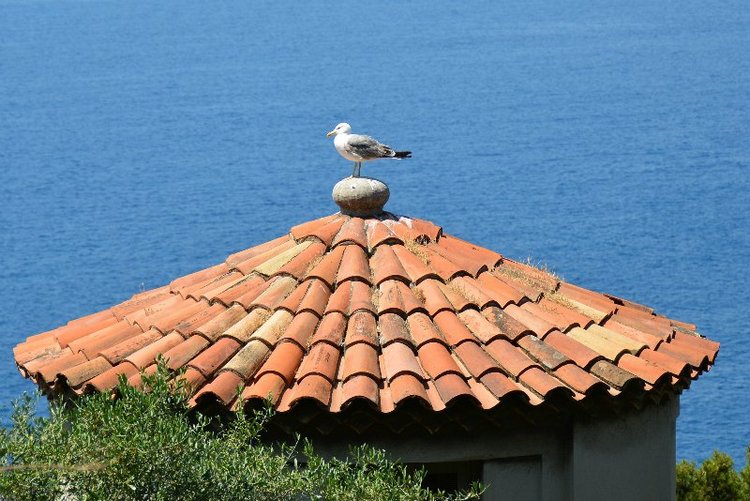 Ницца, Марсель, море и горы