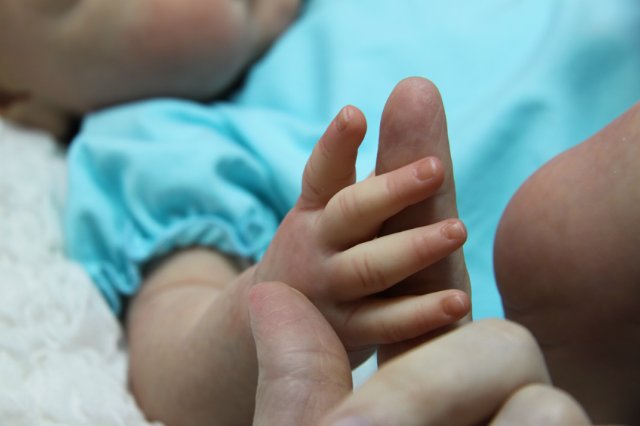 Пышка Пэрис. Куколка реборн Виктории Вишни