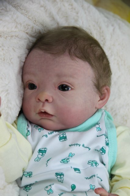 Софийкин! Кукленок реборн Виктории Вишни