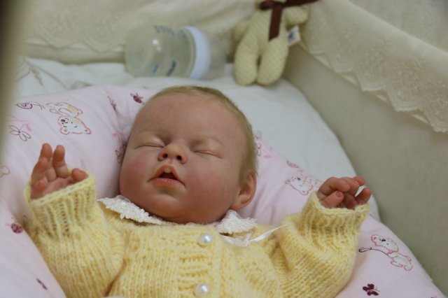 Ноашечка. Куколка реборн Виктории Вишни