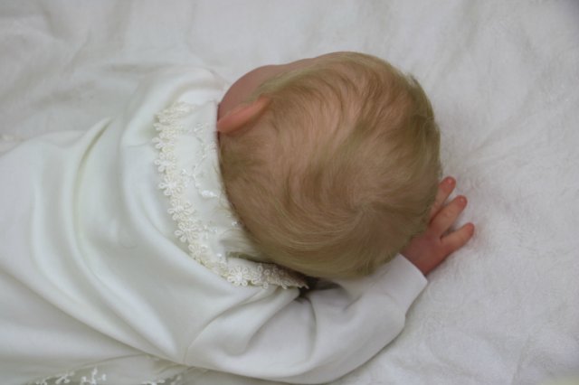 Ноашечка. Куколка реборн Виктории Вишни