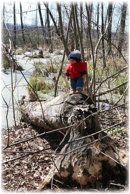 Небольшой поход Вихтелят на Ирдынские болота