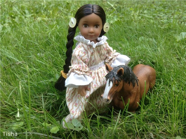 Kaya от American girl mini (фото 10)