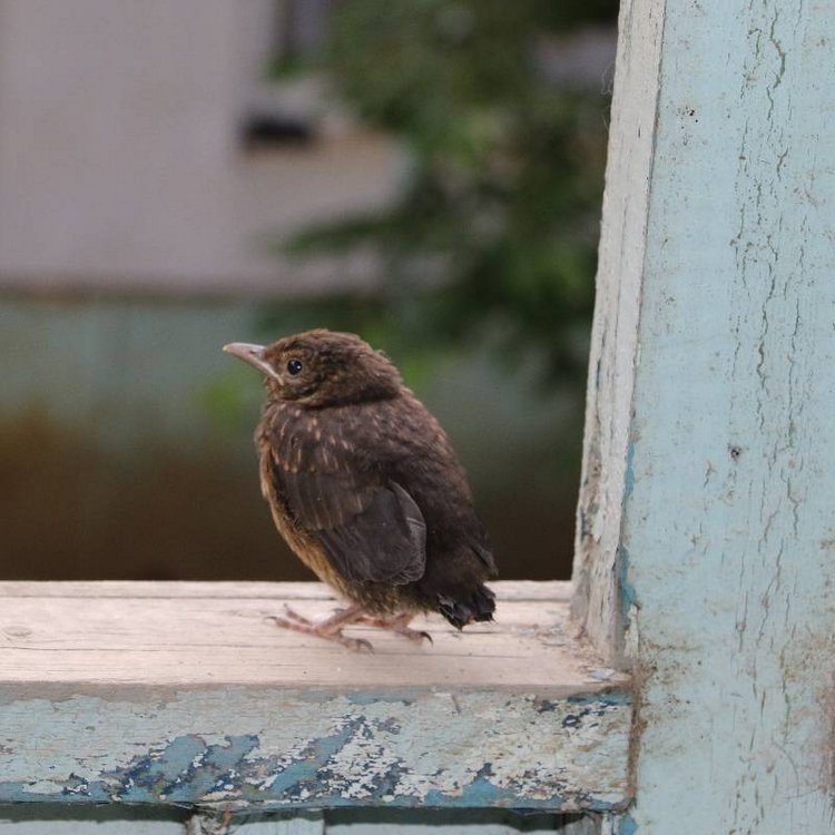 Те, кто нас любит и в домашнем халате, и без косметики, и растрепанными | Бэйбики Те, кто нас любит и в домашнем халате, и без косметики, и растрепанными