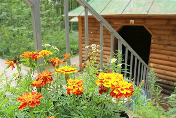 Иваниши. Храм Успения Пресвятой Богородицы