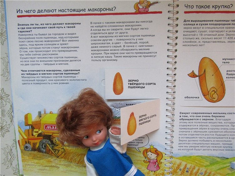 Путешествие в страну Макарон с куклами ANG и Shаlkau (фото 6)