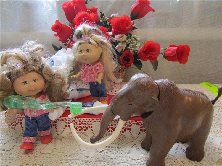 Каждый в мире знает четко - зубы надо чистить щеткой (фото 9)