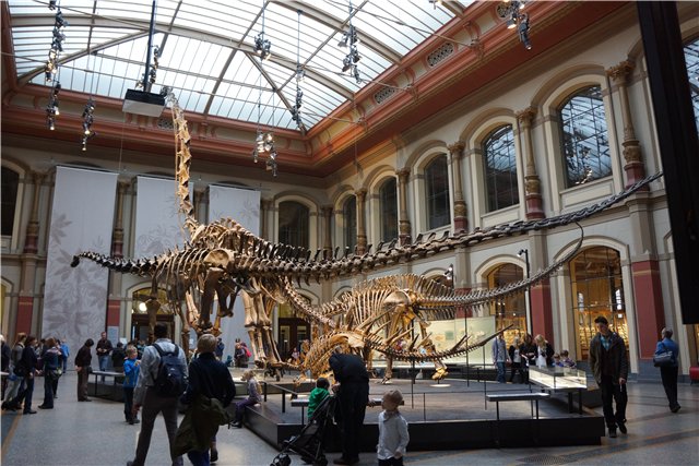 Взятие Берлина. Часть 3. Аква-дом, Улыбка бегемота и Прототип куколок Шильдкрот (фото 6)