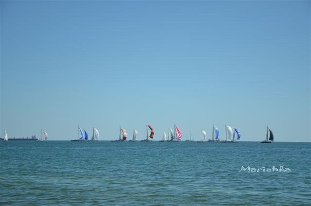 Ассоль-ки. Куколка Ann Estelle от Tonner