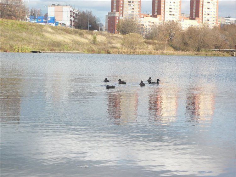 Мой милый утеночек! Лёля - кукла Ли Миддлетон