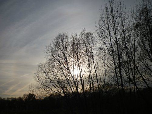 Золотая осень. Старый Оскол, Белгородская область