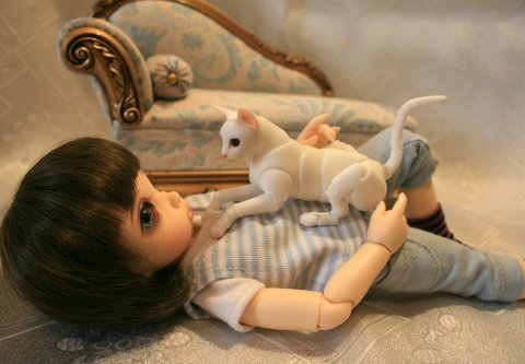 БЖД питомец - кот Као-Мани (фото 10)