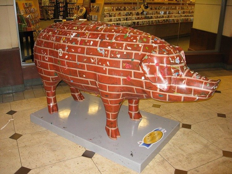 Сиэтл. Такие забавные свинки (фото 3)