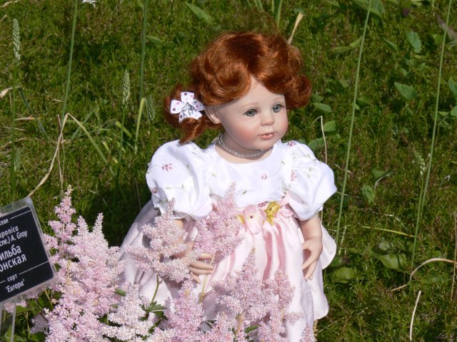 Прогулка в Ботаническом саду Санкт Петербурга. Часть 3. Садовая клумба