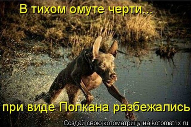 Понедельник - день тяжёлый | Бэйбики Понедельник - день тяжёлый