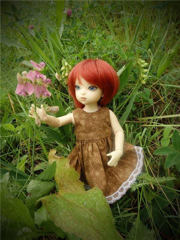 Лесная сказка или Варварка на Нугуше