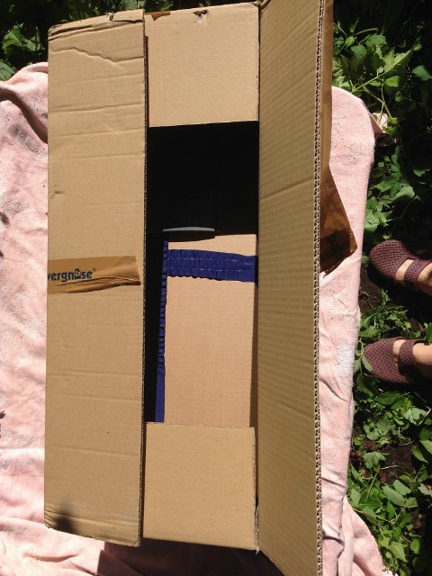 Zwergnase. Anneli. Распаковка и фотосессия (фото 5)