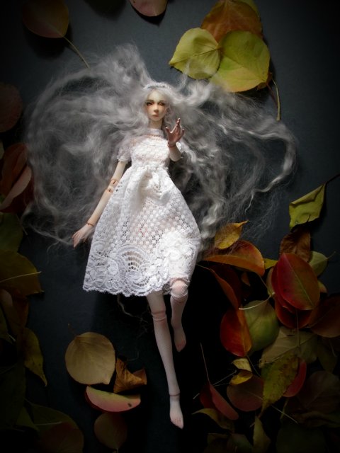 Шарнирные Куклы Варвянской Алины