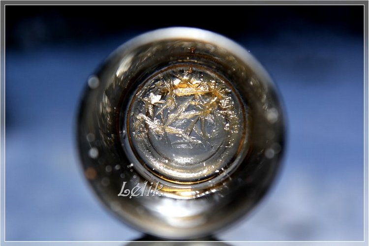 12 месяцев, или как Тамира за подснежниками ходила )