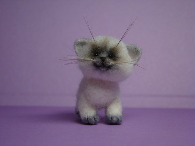 Котик. Авторская игрушка валянием из шерсти Ольги Чернухо (фото 3)