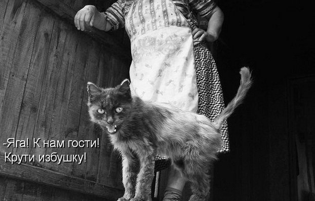 Просто добавь улыбку или пятничный девиз
