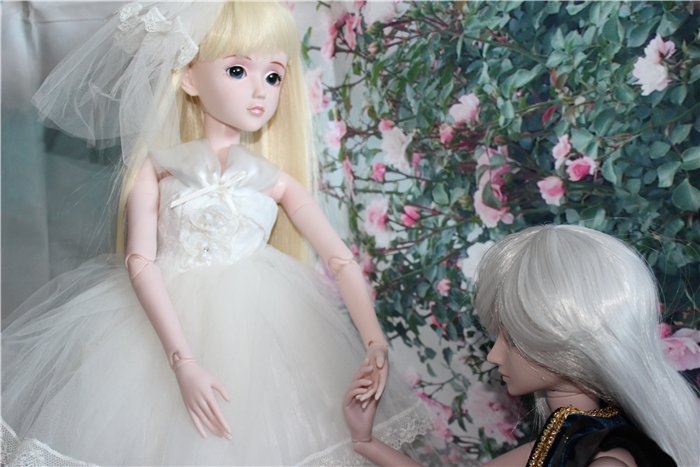 Принц-воин с невестой. Шарнирные куклы "Звезды подиума" новой волны