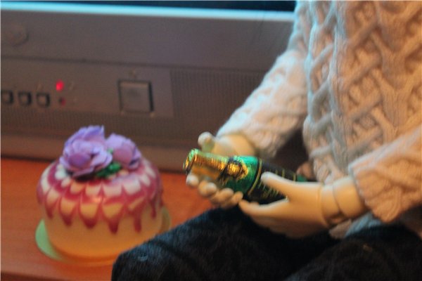 Новый Год 2016 для меня и Мишеля. Запоздалый отчет (фото 10)