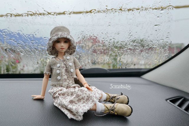 Софи и уикэнд в лесу — Аниме куклы (MJD/Винил): Imomo