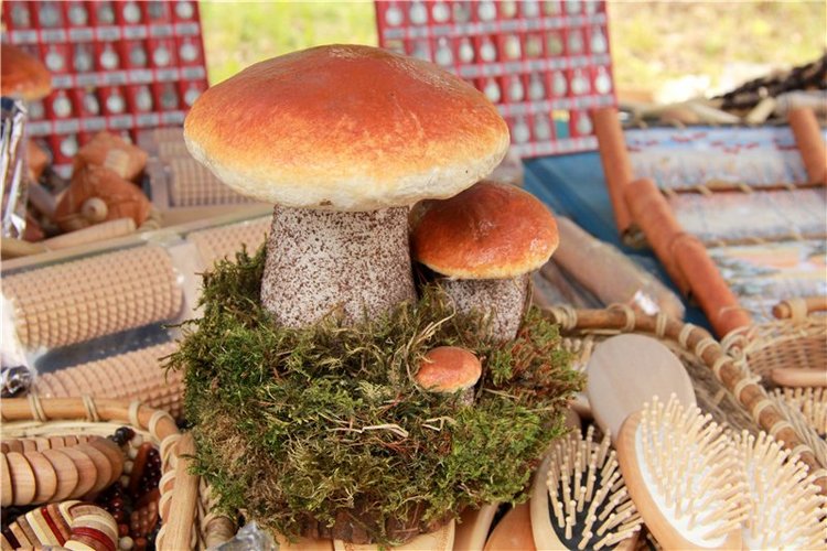 46-ой Пушкинский праздник поэзии в Берново. Часть вторая