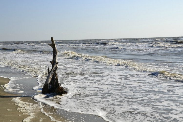 Софи на рыбалке. Харука Obitsu, Azone XS (фото 2)