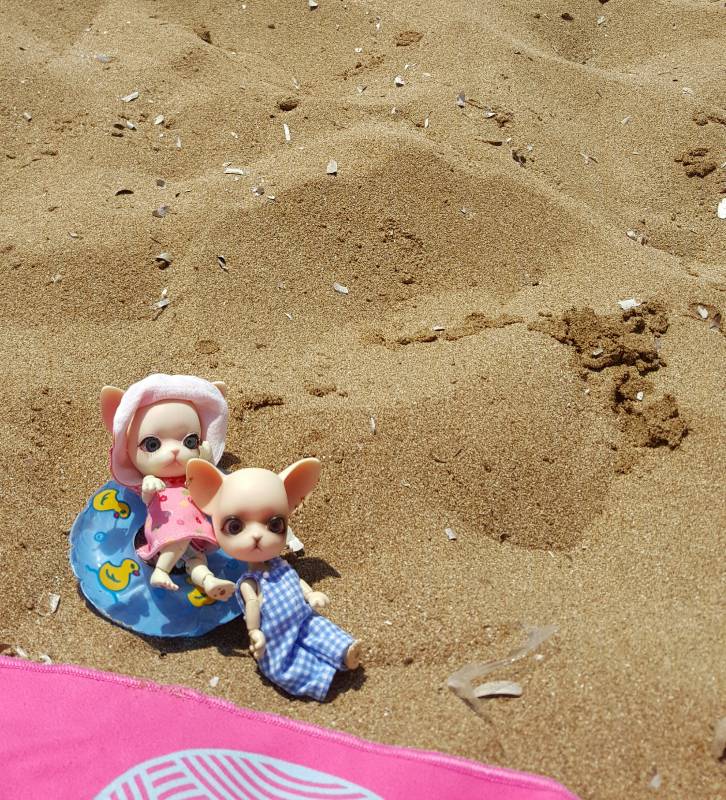 Новое путешествие Панг-Панга (фото 2)