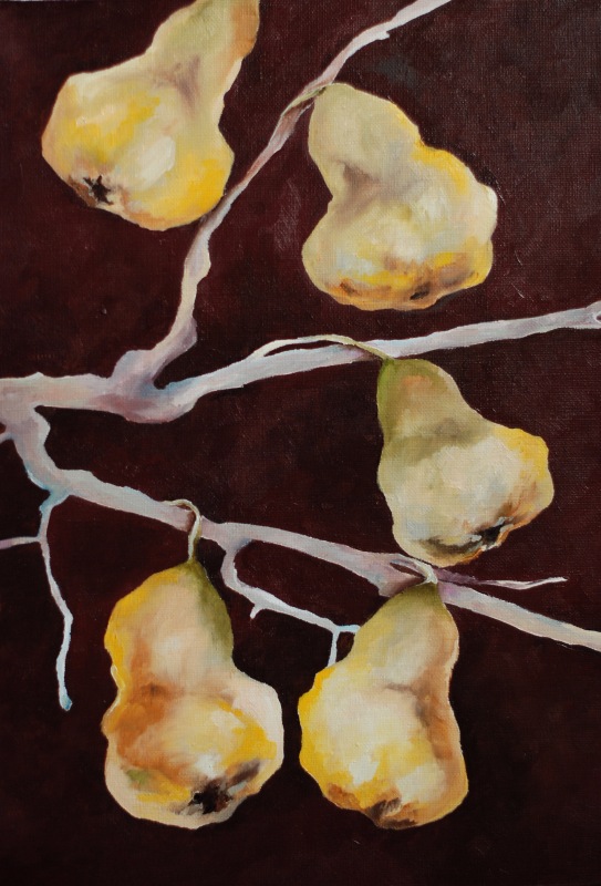 Некукольные новости 3 — Другие хобби и увлечения: сад (фото 7)