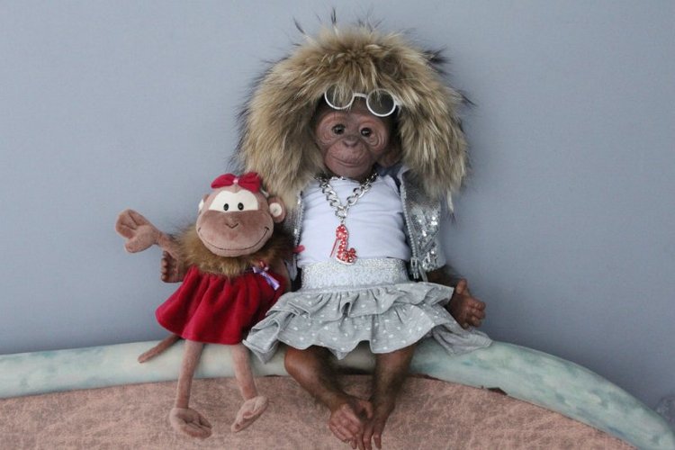 Лерка, кукла-реборн Элины Кудрявцевой